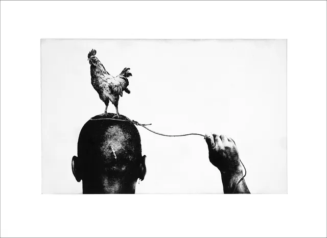 Print by Tente: rooster on a shaved head