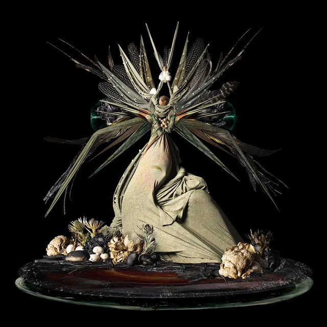 Performative photograph by Lizette Abraham: figure crowned with thorny leaves