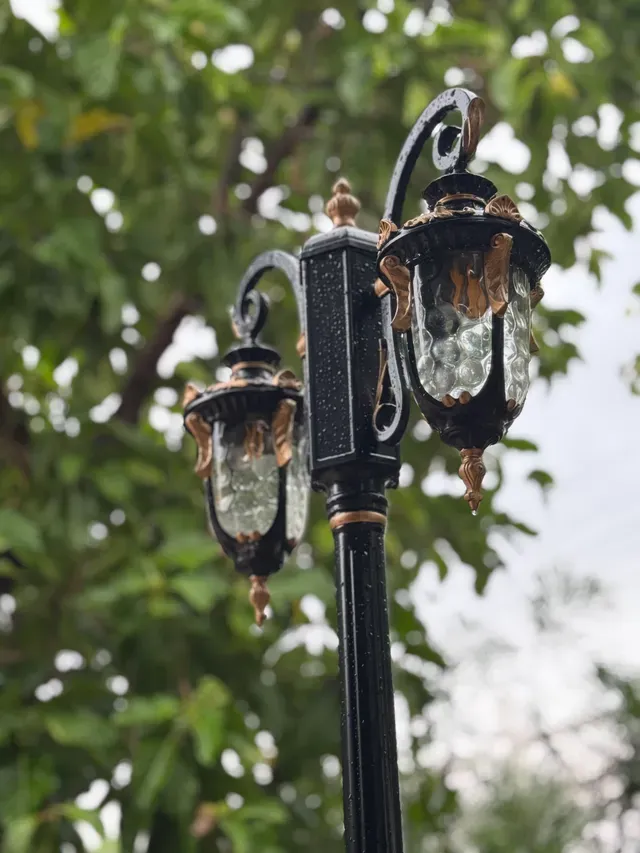 Wrought iron lantern among the garden foliage