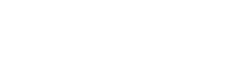 Logotipo de David Salomón